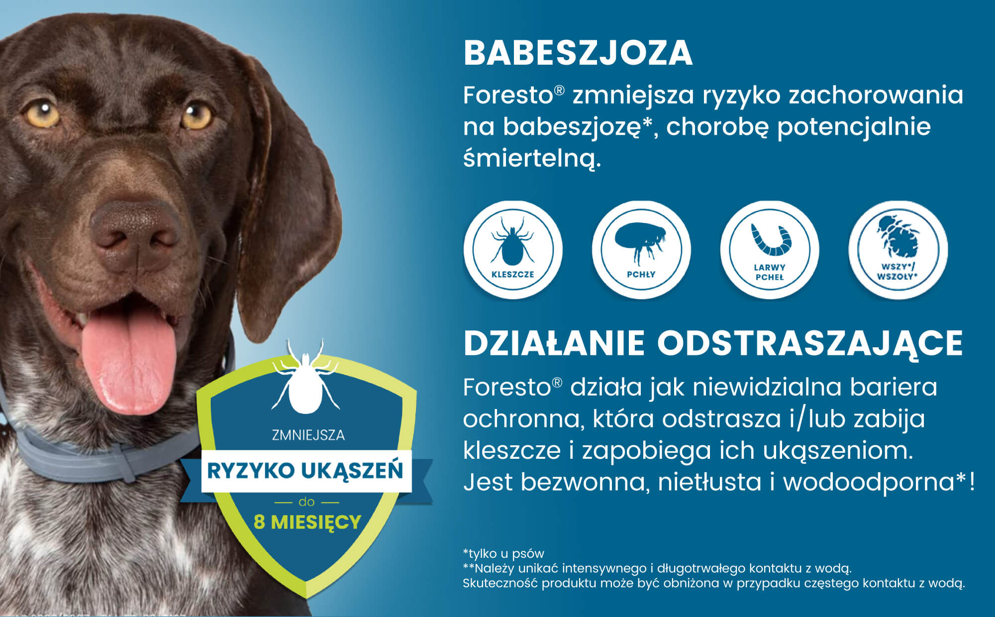 Suplement diety dla zwierząt z wyraźnymi etykietami na opakowaniu